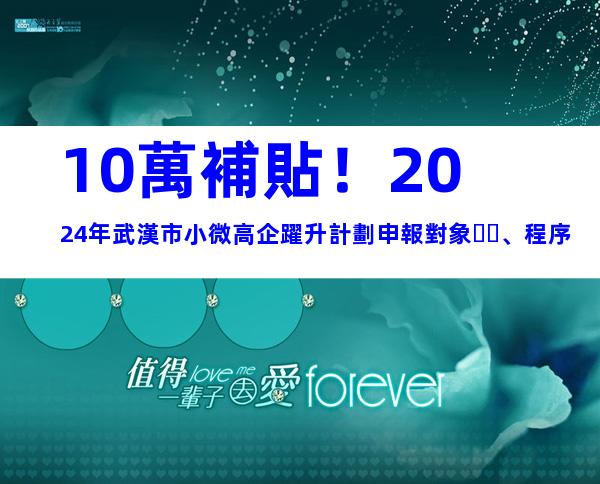 10萬補貼！2024年武漢市小微高企躍升計劃申報對象、程序